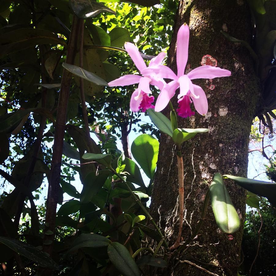 Canto Da Lagoa Ibiraquera Hotel Imbituba Bagian luar foto